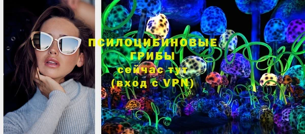 МДПВ Дмитриев