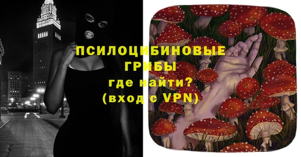 круглые Гусиноозёрск